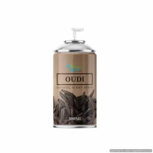 AEROSOL SPRAY GS OUDY